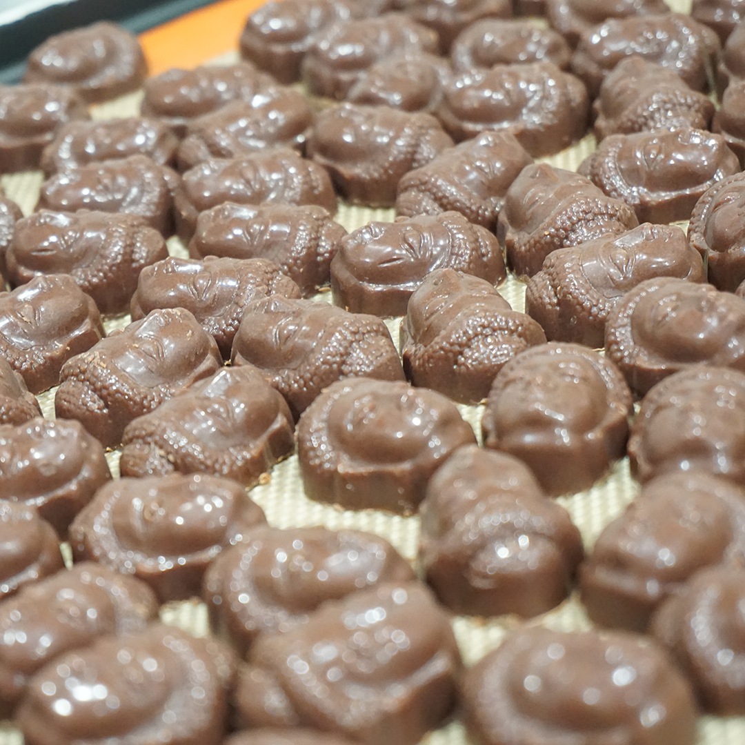 Rawチョコレート《世界のカカオ》5ピース | チョコレート【冬限定