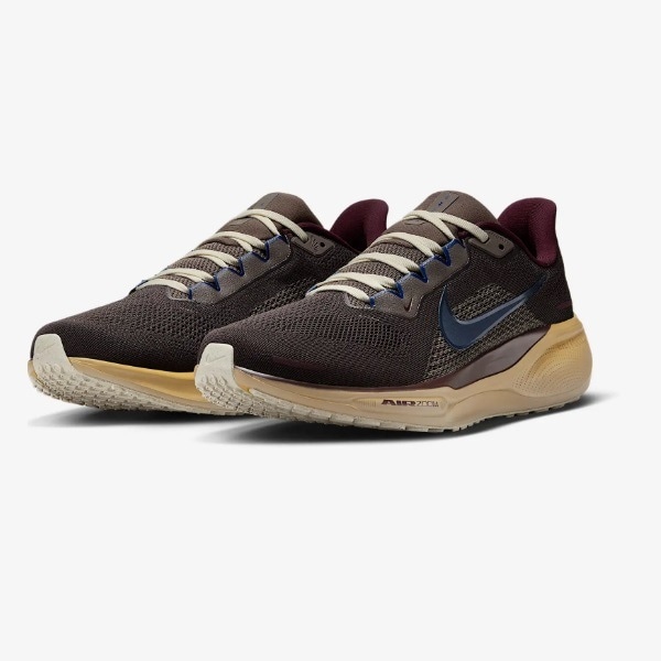 ナイキ Nike エアズーム ペガサス 41 PRM HV4327-299(ミディアム