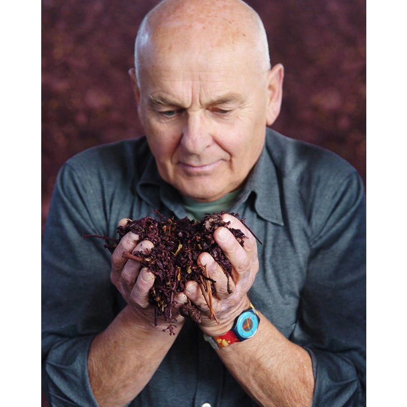 ノニーノ “ウーエ”アクアヴィーテ・モノヴィティーニョ