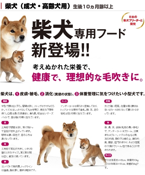 ロイヤルカナン 柴犬 成犬＆高齢犬用 8kg