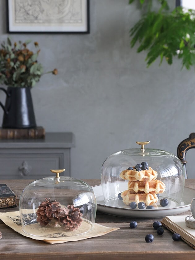 ガラスドームSeed