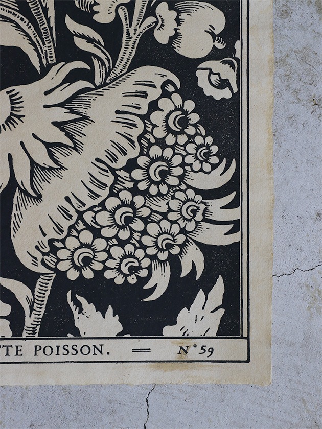 Antoinette Poissonドミノペーパー59C