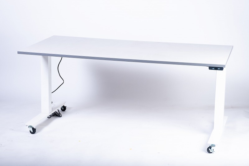 電動昇降デスク 16W | セイテック