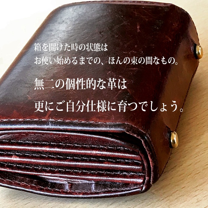 m+エムピウMILLEFOGLIE2 Pigオルテンシアx黒 | m＋エムピウ村上雄一郎