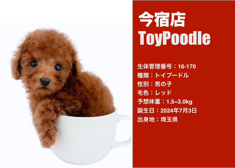 f7efdcc7ad032bc2bad3945f9469b9