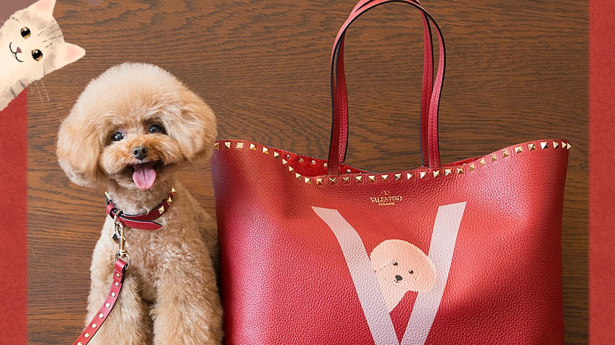 GWにペットと行きたい！ ヴァレンティノ銀座でペットのイラストを描く