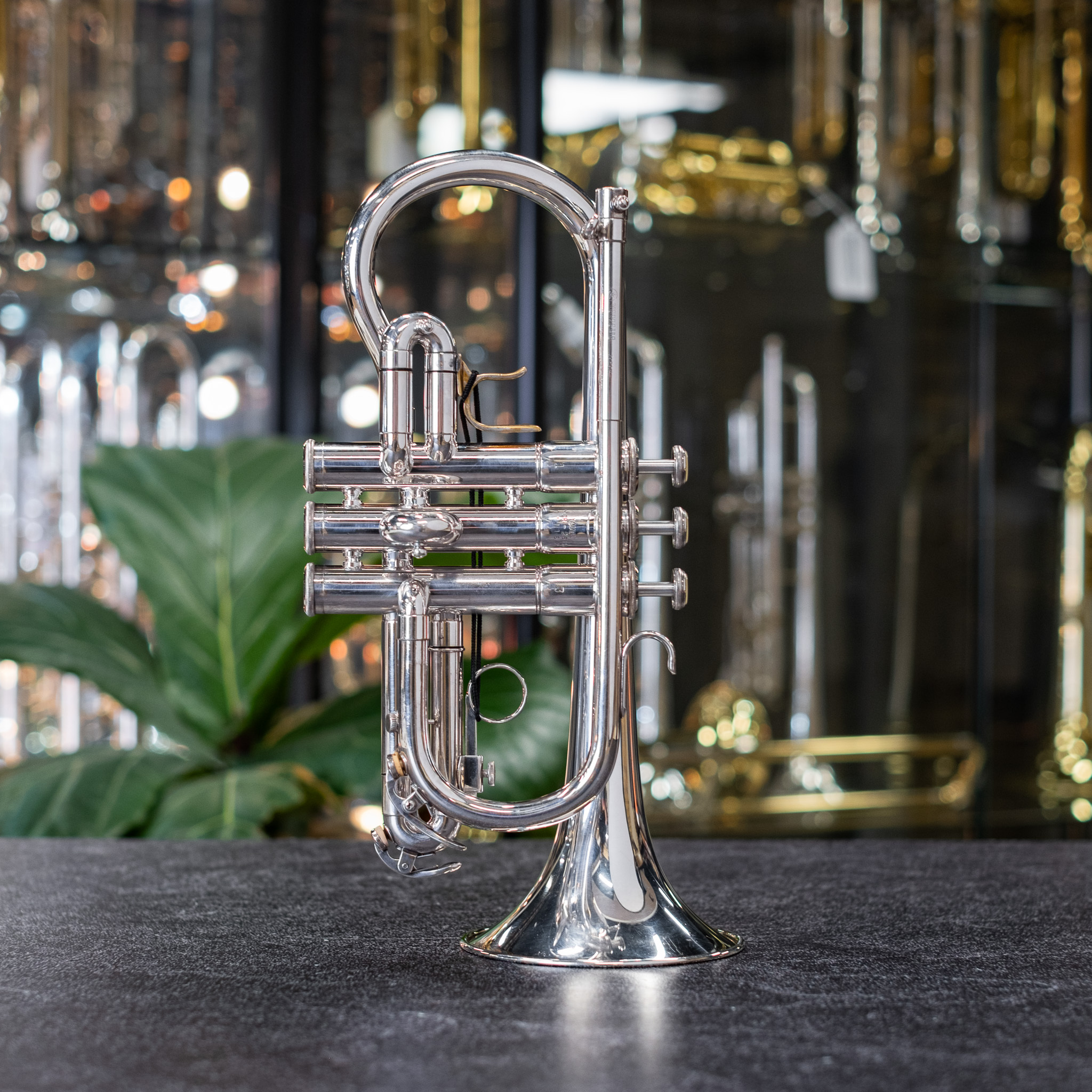 Yamaha_YCR_261S_Eb_Cornet_w_Or