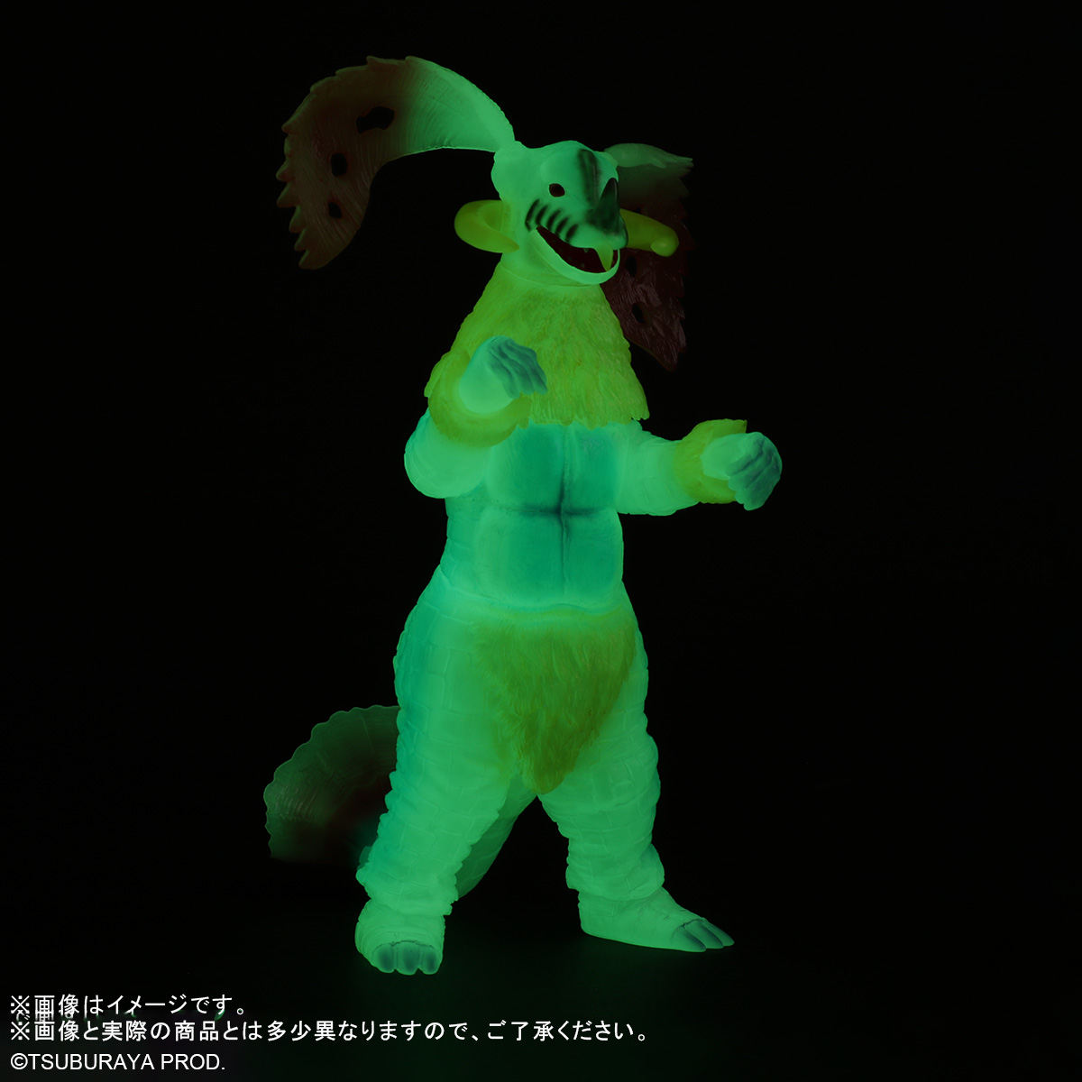 ワンダーフェスティバル2025夏 参加情報