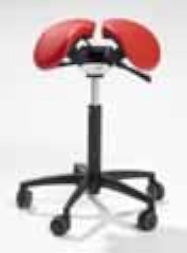 Amazon.com: Salli MultiAdjuster Ergonomic Saddle Seat : Automotive