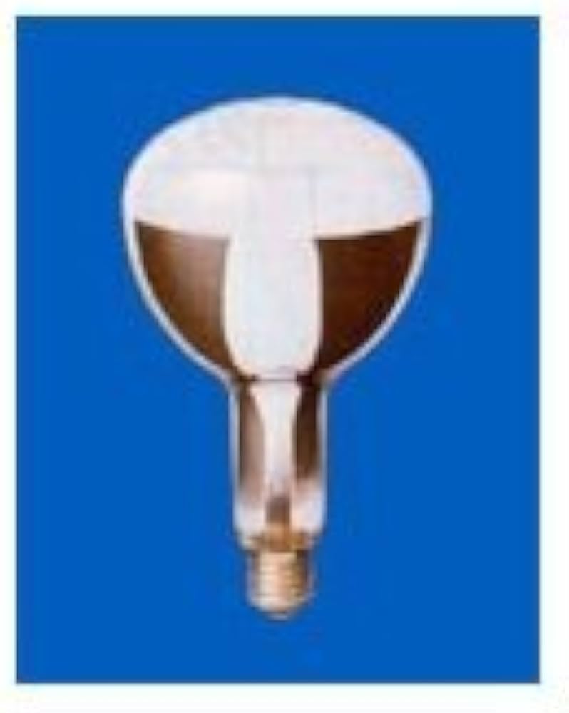 Amazon | 岩崎 アイ セルフバラスト水銀ランプ BHRF100/110V250WH