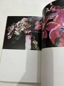 Amazon.co.jp: 荒木経惟 熊本ララバイ 熊本市現代美術館 写真集 図録