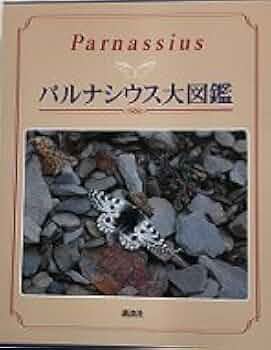 317a3F7-1uL._AC_UF350,