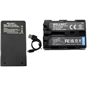 Amazon.co.jp: ビデオカメラ用バッテリー＆充電器セット - バッテリー