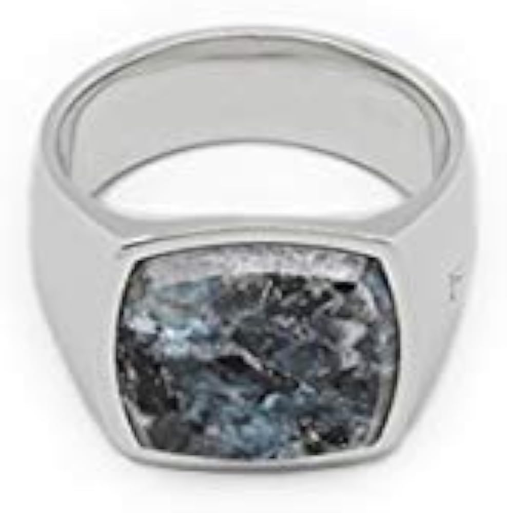 Amazon.co.jp: [トムウッド] TOMWOOD Cushion Larvikite (M