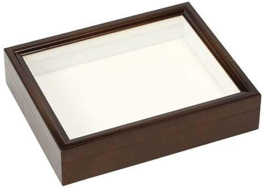 Amazon | バードウィング製 ドイツ型標本箱 BWミニ （幅25×奥行き