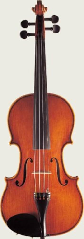Amazon.co.jp: Suzuki Violin No.550 SUZUKI 4/4 : Musical Instruments