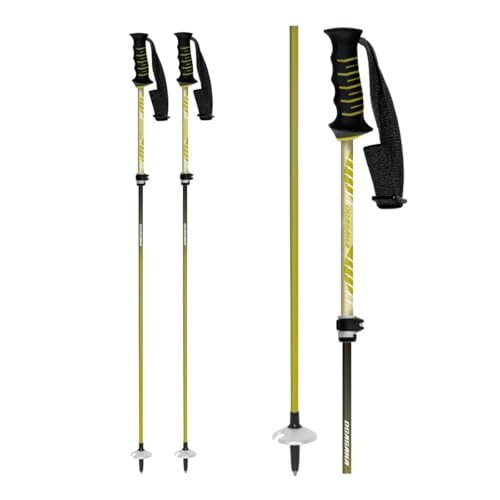 スキーストック」の人気商品一覧 | 安い商品を通販サイトから探す