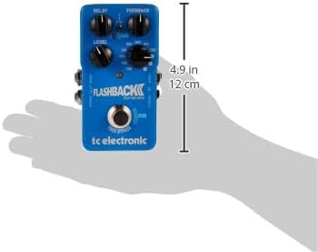TC Electronics Flashback 2 Delay Effects Pedal : Amazon.ca