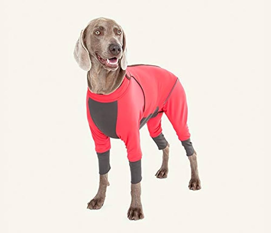 Amazon | ダブルフルドッグガード (1XL, ミント) | ALPHAICON | 服