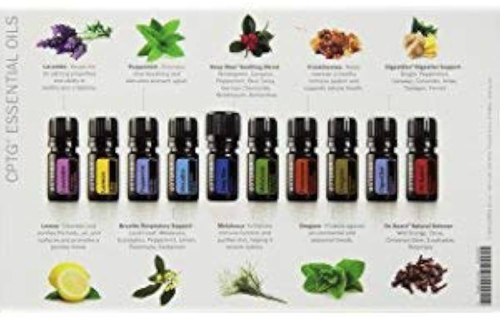Amazon.com: doTERRA Family Essential Kit Liquid : Health & Household