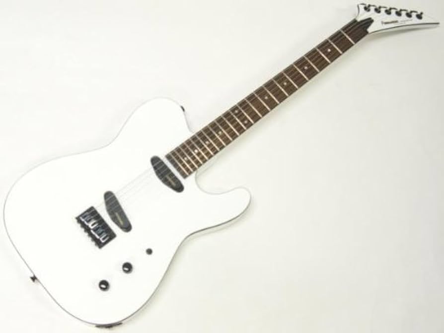 Amazon | フェルナンデス エレキギター TEJ-STD 2S '19 SW | エレキ