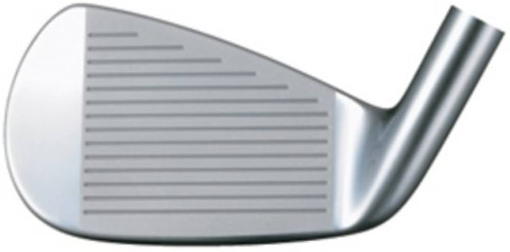 Amazon.co.jp: ゼクシオ(XXIO) フォージド アイアン NSプロ950GH