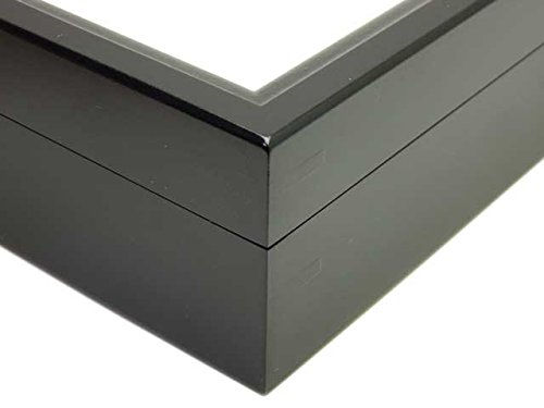 Amazon | 大型ドイツ型標本箱（黒） | 生態・採集 | おもちゃ