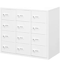 Amazon.co.jp: LOOKIT 貴重品ロッカー 2列6段 12人用 ダイヤル錠 金庫