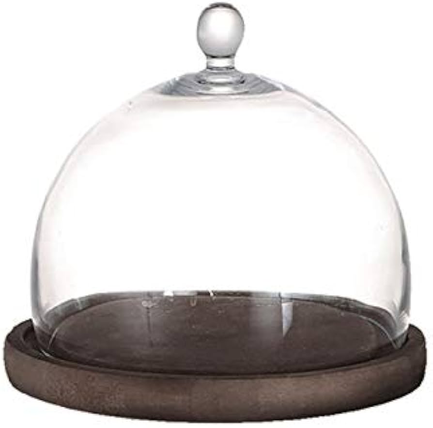 Amazon.co.jp: ダルトン(Dulton) ディスプレイ用品 グラスドーム