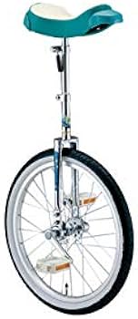 Amazon | どのスポーツのトレーニングにも一輪車は最適。 バランス感覚