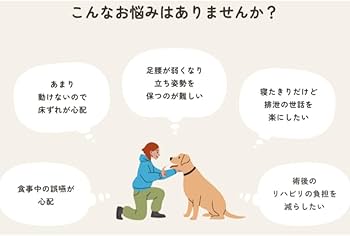 Amazon | ワンエイド OneAid リラクッション トイプードル サイズ