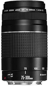 Amazon.com : Canon EF 75-300mm f/4-5.6 III Telephoto Zoom Lens for