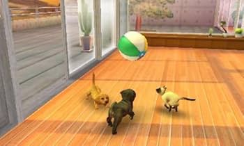 Amazon.co.jp: nintendogs + cats 柴 & Newフレンズ - 3DS : ゲーム