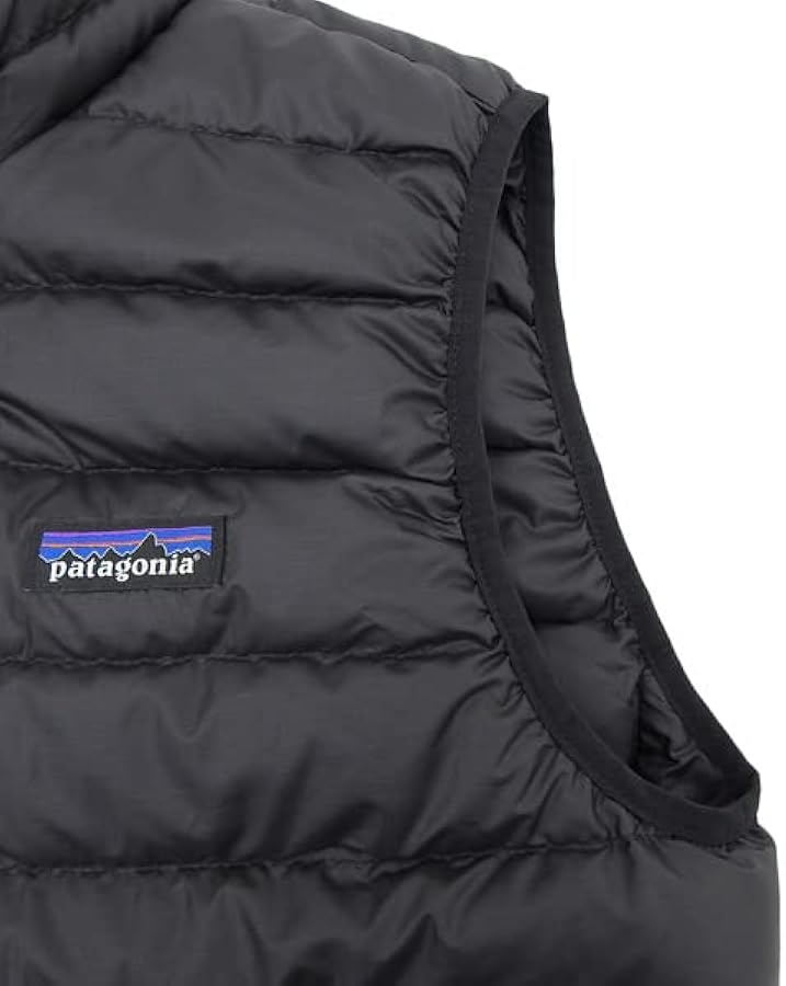 Amazon.co.jp: [パタゴニア] アパレル メンズ レディース ダウンベスト