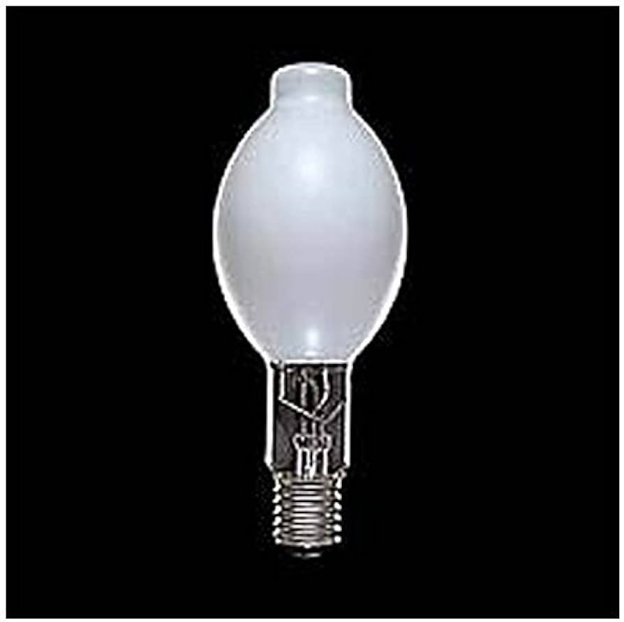 Amazon | 東芝 蛍光水銀ランプ(水銀灯) 蛍光形 40W E26口金 【単品