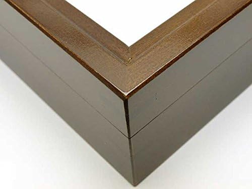 中型ドイツ型標本箱（茶）UVカット】大型ドイツ型標本箱（茶