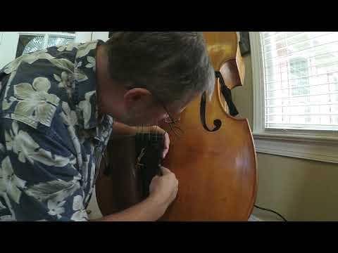 Amazon | KNA DB-1 Portable Piezo Pickup for Double Bass コントラ