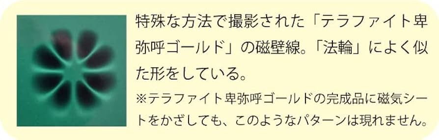 Amazon.co.jp: テラファイト卑弥呼 ゴールド : スポーツ＆アウトドア