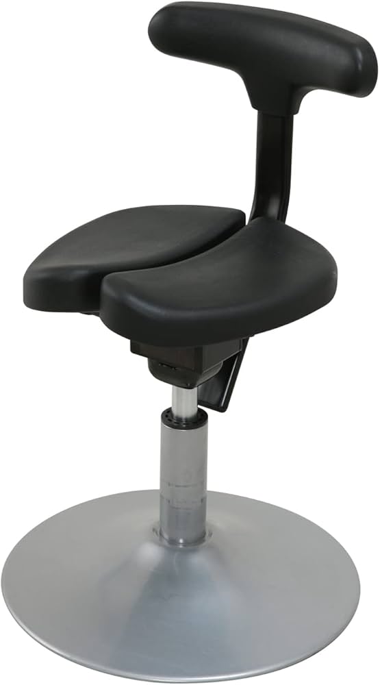 Amazon.co.jp: アーユルチェアー 丸ベースタイプ ルナ 腰痛対策 姿勢