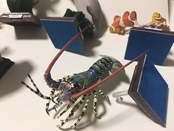 Amazon.co.jp: ネイチャーテクニカラー 鳥羽水族館 フルコンプ 全8種類