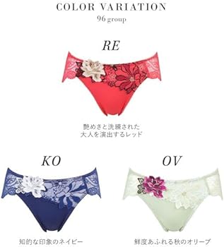 Amazon.co.jp: [ワコール] サルート Salute 23AW 96G PTJ396