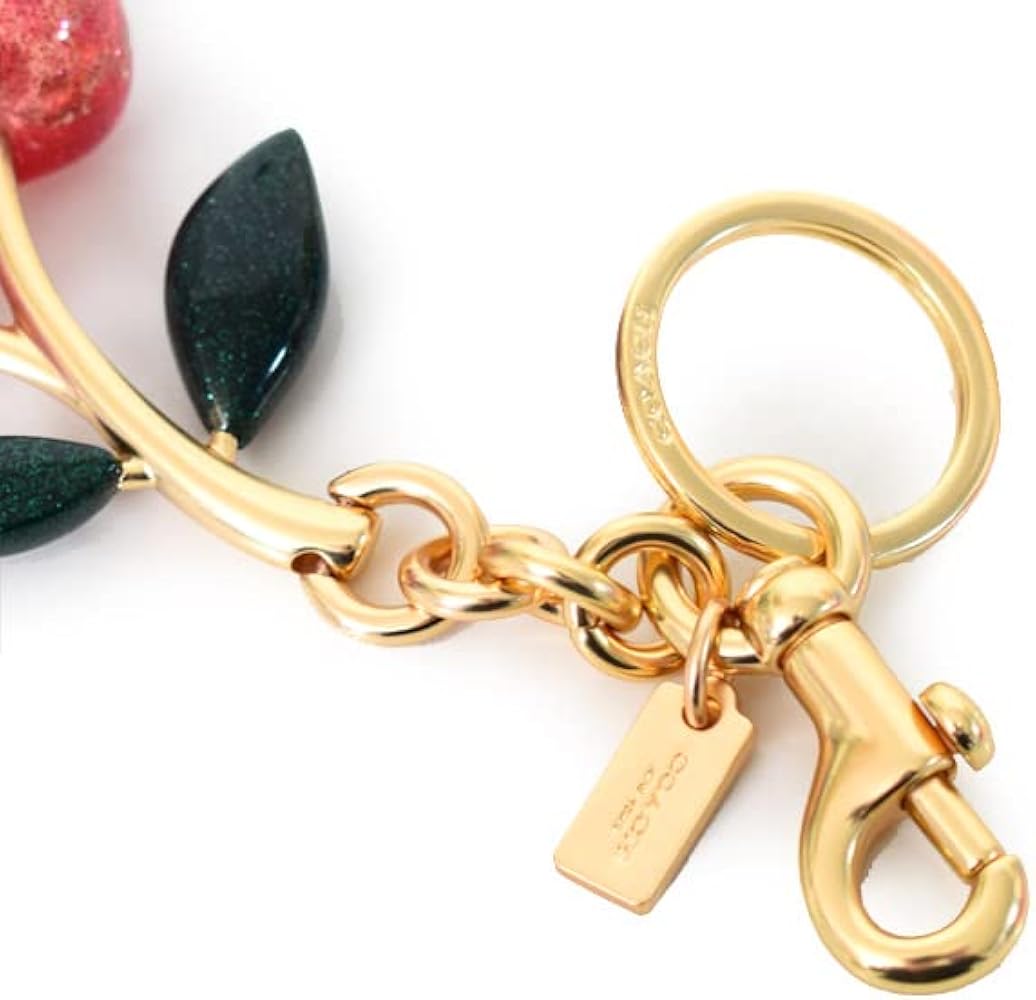 Amazon.co.jp: コーチ キーホルダー COACH レジン メタル シグネチャー