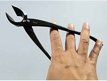 41iBrcfFdnL._AC_UF350,