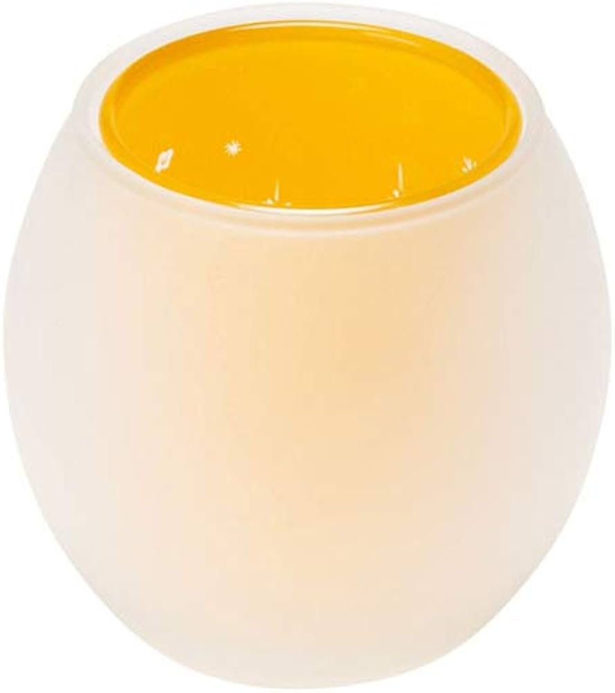 Amazon.co.jp: 【Amazon.co.jp 限定】スノーピーク(snow peak