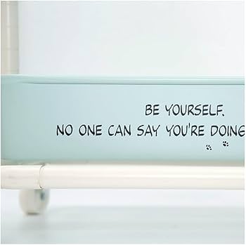 Amazon.co.jp: Workson(ワークソン) PEANUTS L.W.D TOOL WAGON