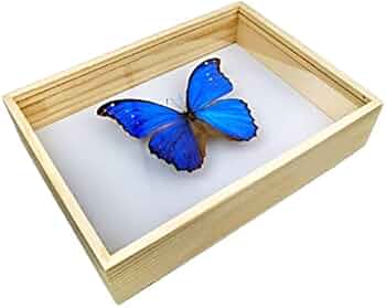 41jc5V-VPNS._AC_UF350,