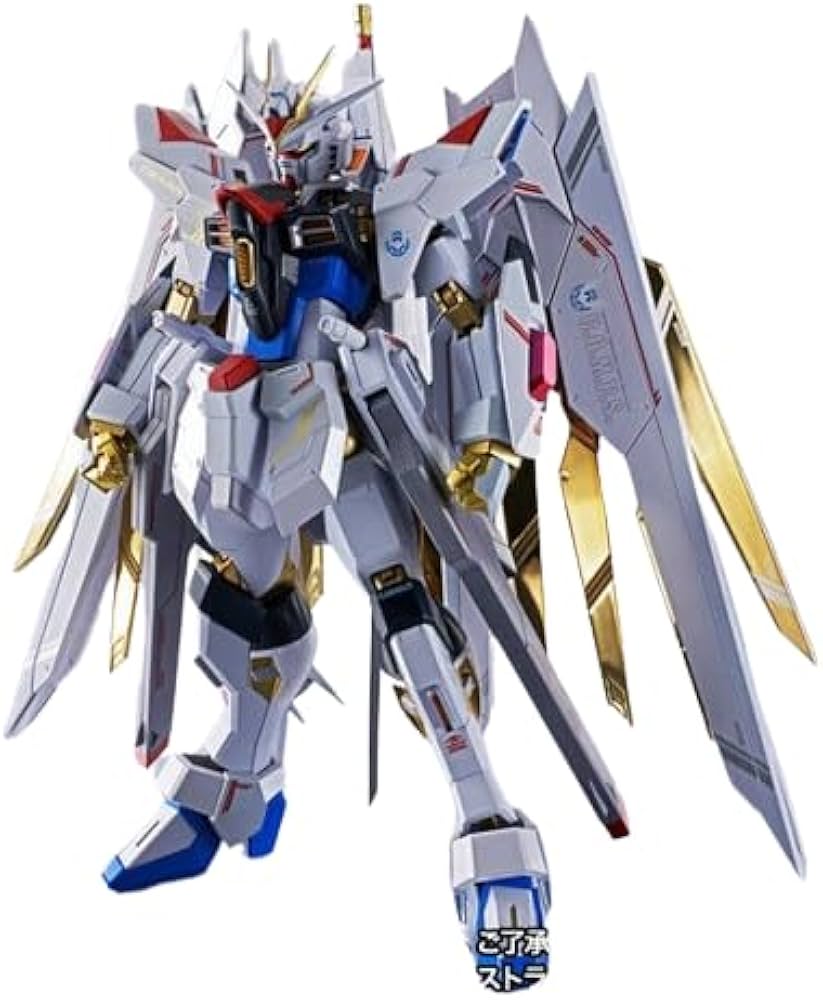 Amazon.co.jp: METAL ROBOT魂 ＜SIDE MS＞ ストライクフリーダムガ