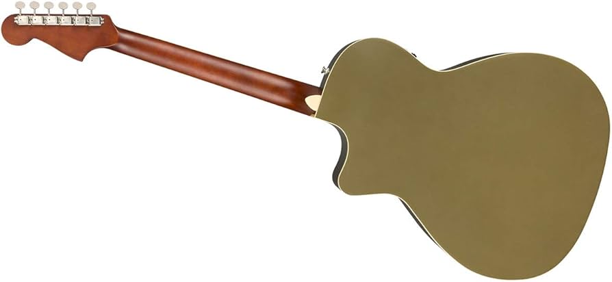 Amazon.co.jp: FENDER (フェンダー) エレクトリック・アコースティック