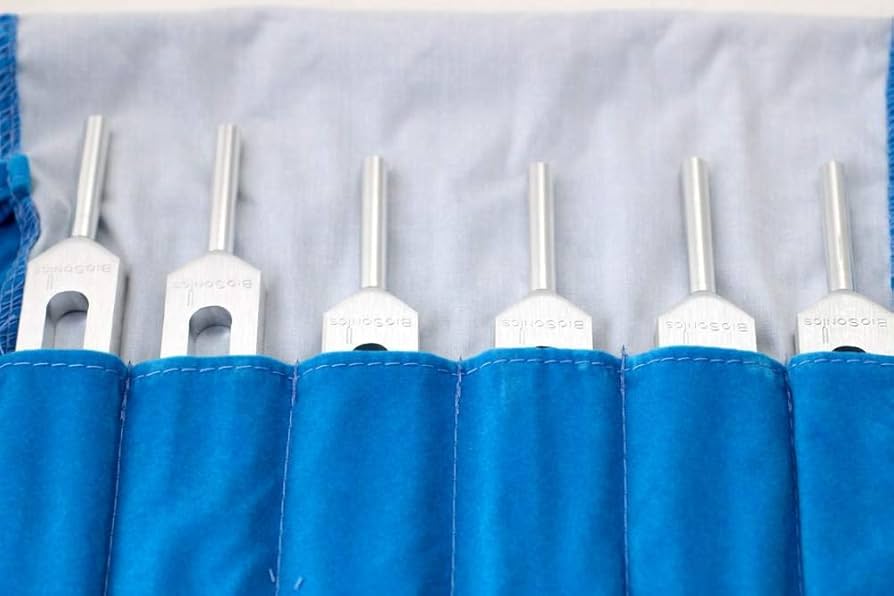 Amazon.co.jp: ソルフェジオ チューナー 音叉 6本セット BIOSONICS社製