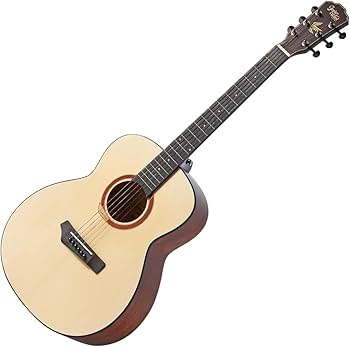Amazon | Gopher Wood Guitars i110S アコースティックギター初心者12